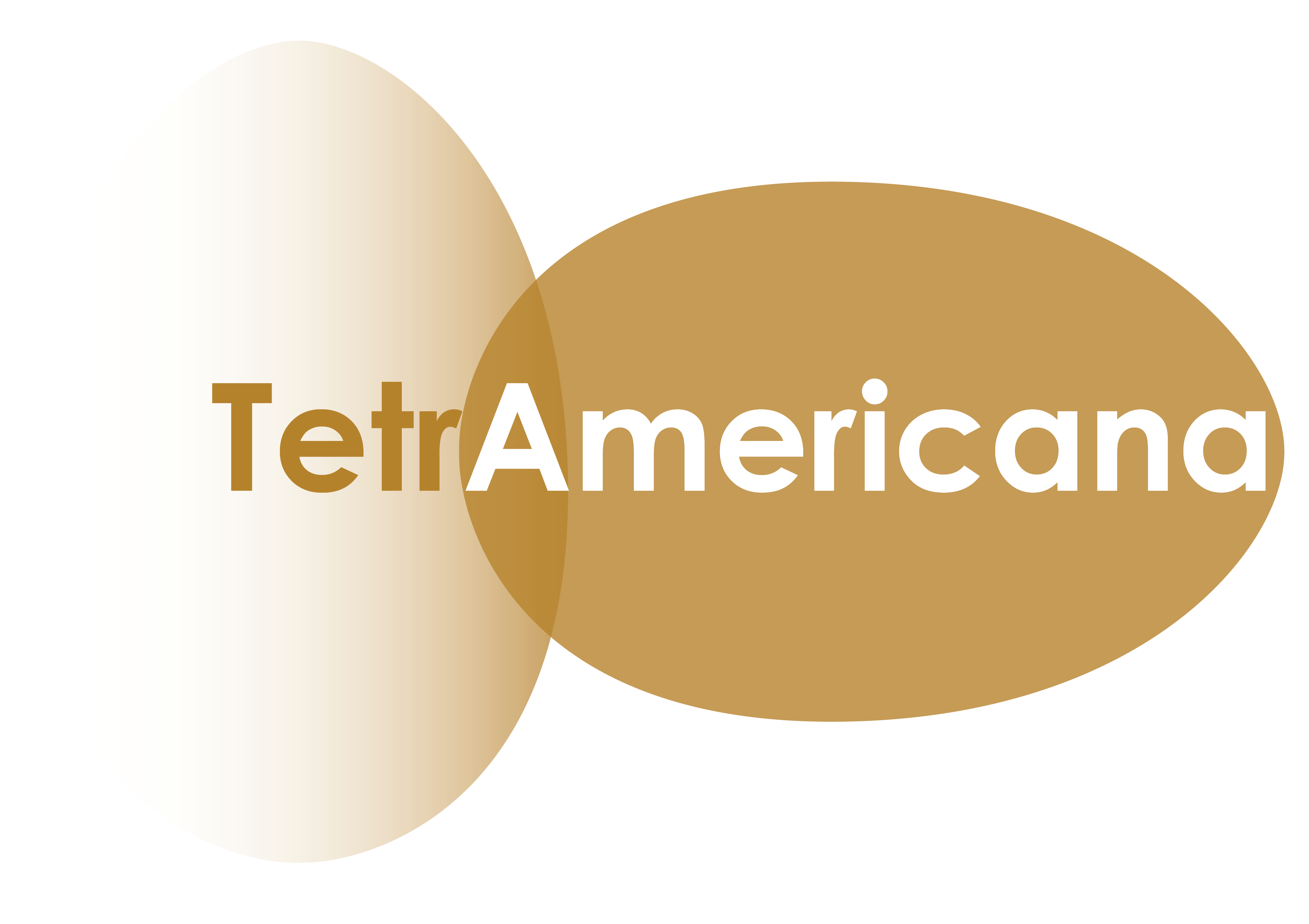 Tetra logo 772620cdfe71cf61f7b991f3a27d9dc0a258d40f096b43e7ec73931160c38494